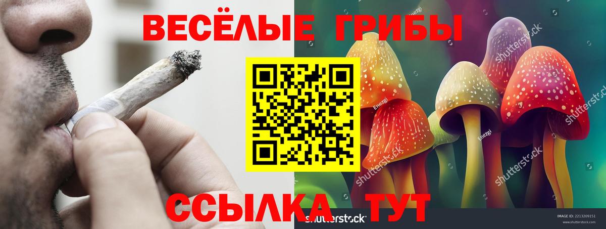 Галлюциногенные грибы GOLDEN TEACHER  Вход с VPN  Псилоцибиновые грибы ЛСД  Бугуруслан 