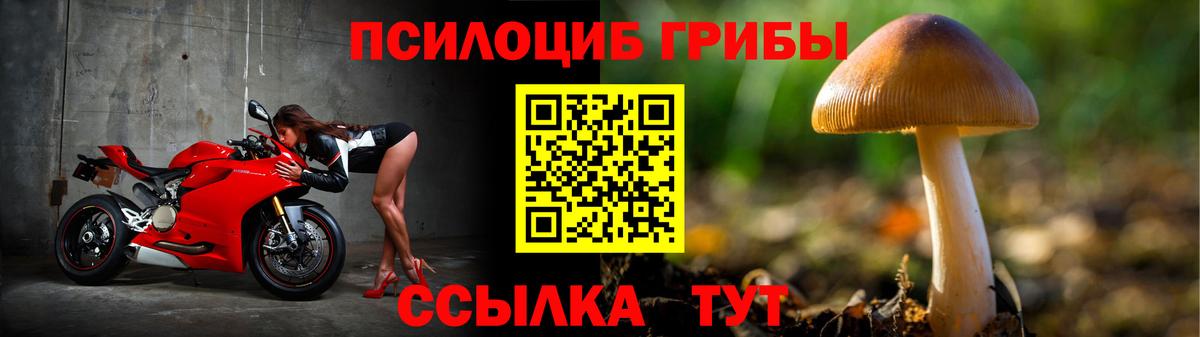 Галлюциногенные грибы Cubensis Бугуруслан